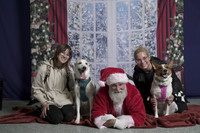 20241207 Santa Pups